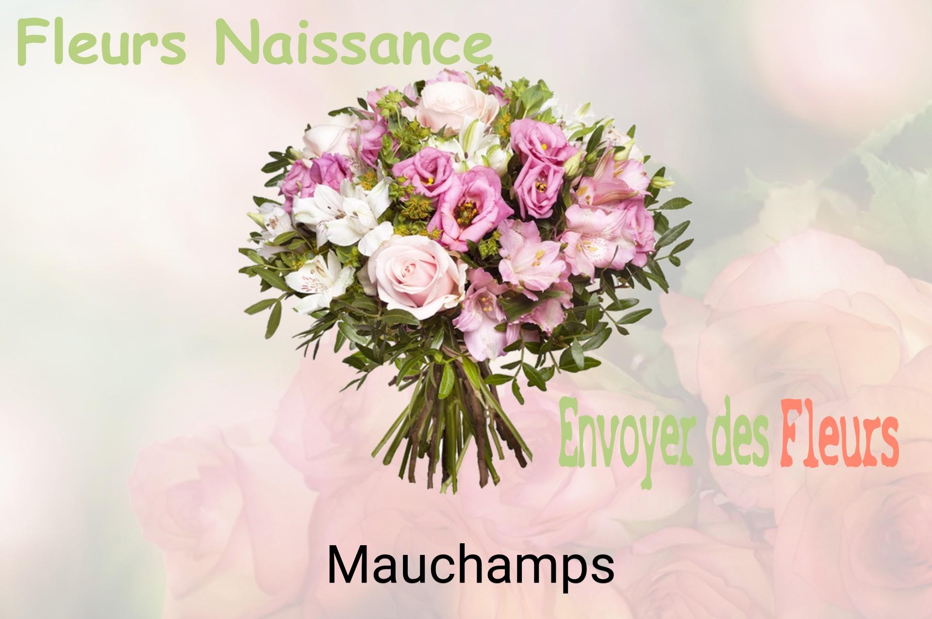 Bouquet de fleurs de naissance livré à Mauchamps